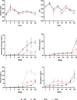 Effects of Bacillus sp. and Lactobacillus sp. combination as a water additive on the culture pond water and growth performance of hybrid grouper (Epinephelus fuscoguttatus × Epinephelus polyphekadion)